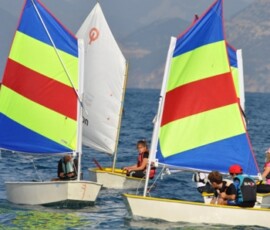 OPTIMIST JUNIOR_0.jpg